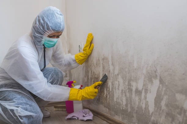 Best Mold Prevention Services  in Stockton, CA